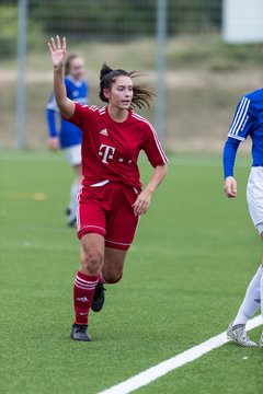Bild 216 - F FSG Kaltenkirchen - SV Wahlstedt : Ergebnis: 6:1